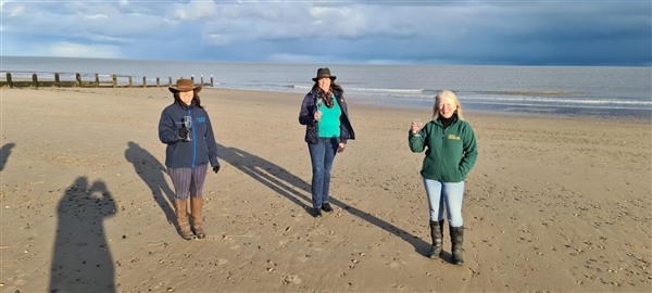 Frinton Beach Latest News